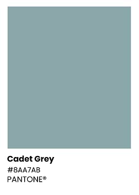Cadet Grey Color Swatch