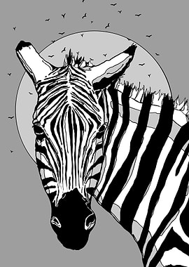 Zebra Line Art