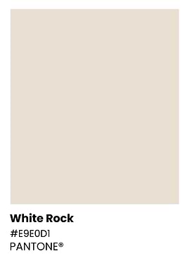 Pantone White Rock Color