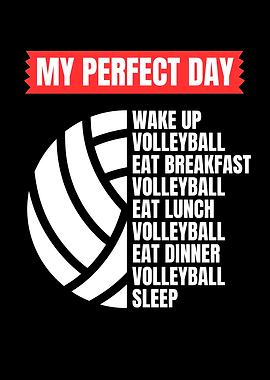 Funny Volleyball Quote