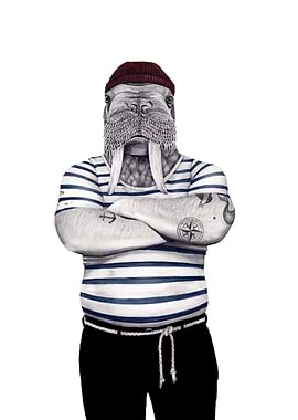 Walrus Sailor Illustration