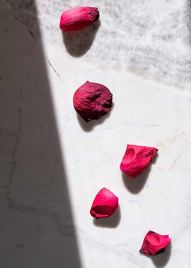 Rose Petals on Marble
