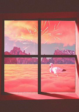 Wonders Outside the Window