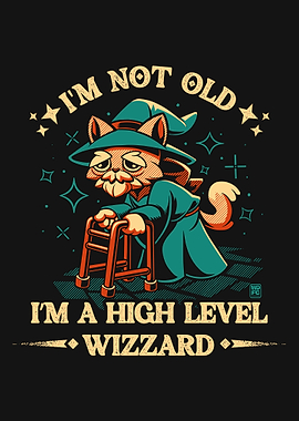 High Level Wizard Cat