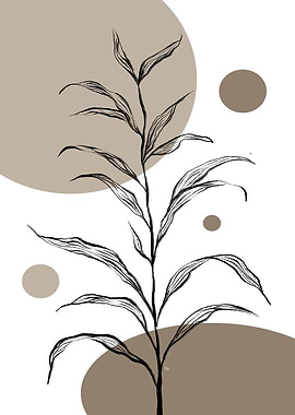 Fragile Mocha Plant Three