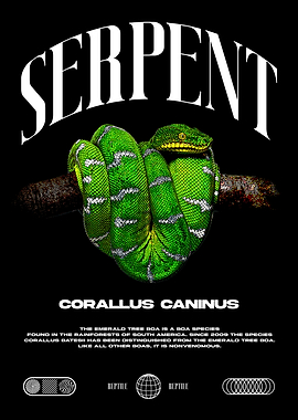 Emerald Tree Boa Snake Keeper