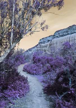 San Clemente Cliffs