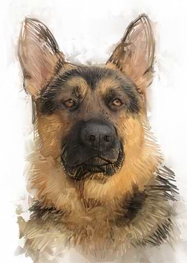 German Shepherd Portrait