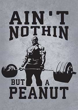 Ain't Nothin' But a Peanut - Ronnie Gym Motivation