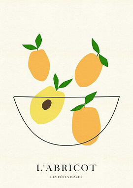 Apricot Illustration