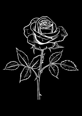 White Rose Illustration