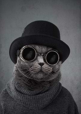 Cat in Top Hat and Goggles