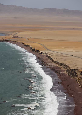 Coastal Desert Landscape