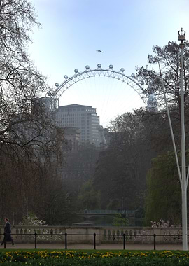 London Eye View