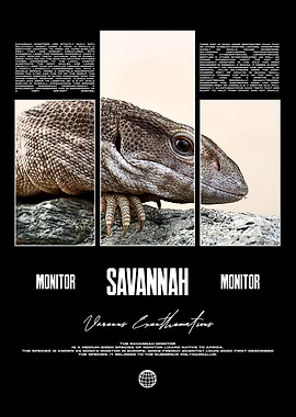 Savannah Monitor Lizard