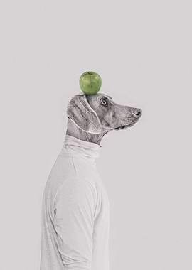 Dog with Apple on Head