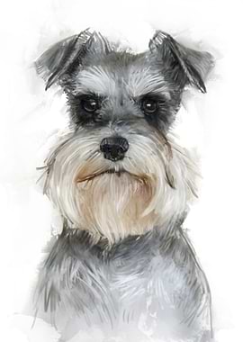Miniature Schnauzer Portrait