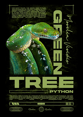 Green Tree Python Grunge Modern Poster