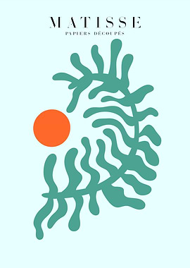 Matisse | Algue T55R