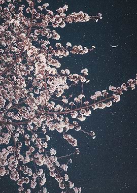 Night Blossoms and a Smiling Moon