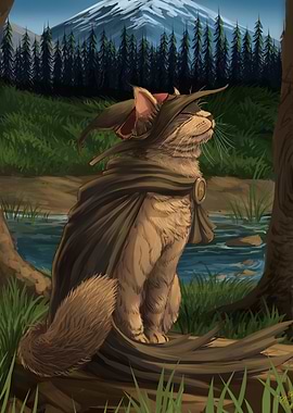 Cat Wizard in Forest