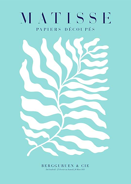 Matisse | Algue T77R
