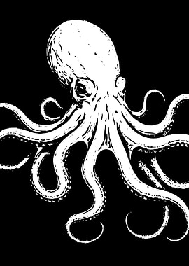 Octopus Illustration