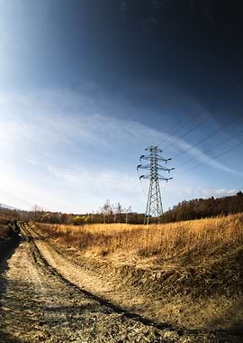 Power Lines in Field