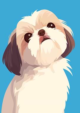 Cute Shih Tzu Dog Portrait Minimalist Art Illustration