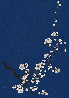 Cherry Blossom Branch