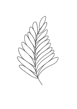 Fern Leaf Minimalist Line Art