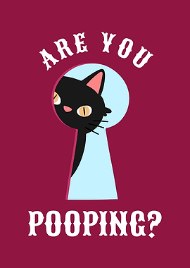 Cat Keyhole Pooping