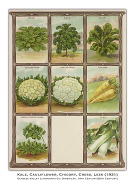 Vintage Vegetable Chart