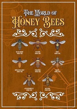 Honey Bee Species Chart