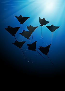 Spotted eagle ray Silhouette