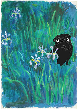 Pug Monnet Iris Garden