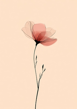 Delicate Pink Flower