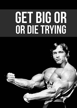 Arnold Schwarzenegger Motivational Poster