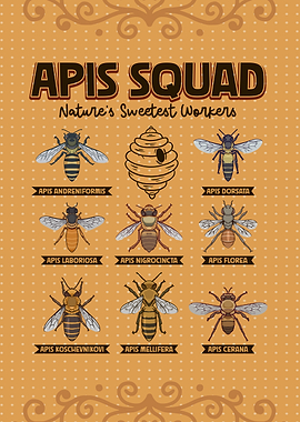 Types of Honey Bees