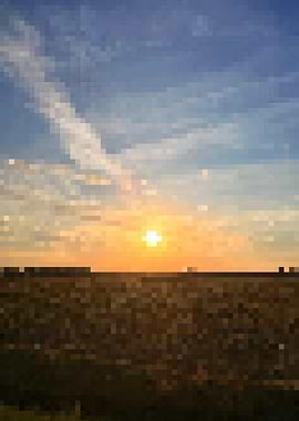 Pixelated Perfection