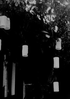 Hanging Lanterns in the Dark