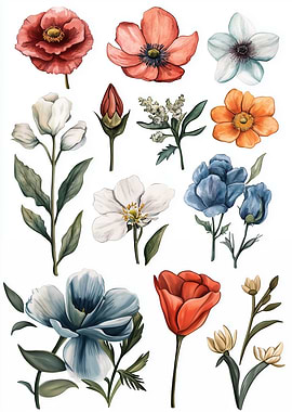 Watercolor Floral Collection