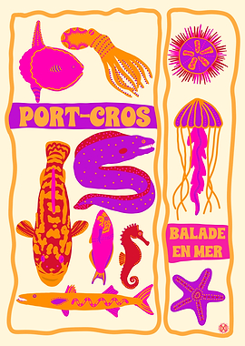 Port-Cros Mediterranean Sea Life