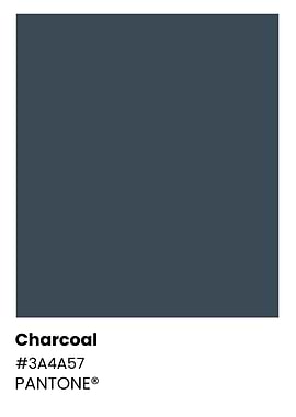 Pantone Charcoal Color
