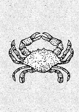 Black and White Crab Illustration