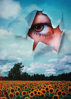 Sunflowers Dream of the Sky’s Secrets