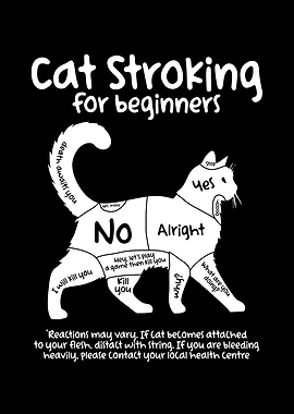 Cat Stroking For Beginners