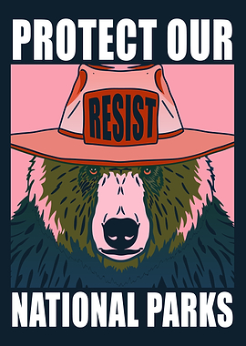 Protect Our National Parks Bear Poster