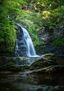 Waterfall in Lush Forest