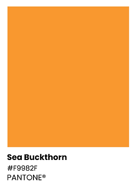 Sea Buckthorn Pantone Color